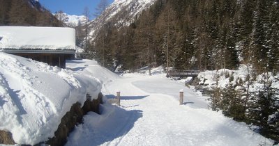 Almhütte Dorferalm 1.400m Maurertal